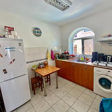 فيلة Iorga's House