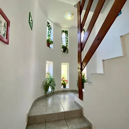 Iorga's House فيلة *