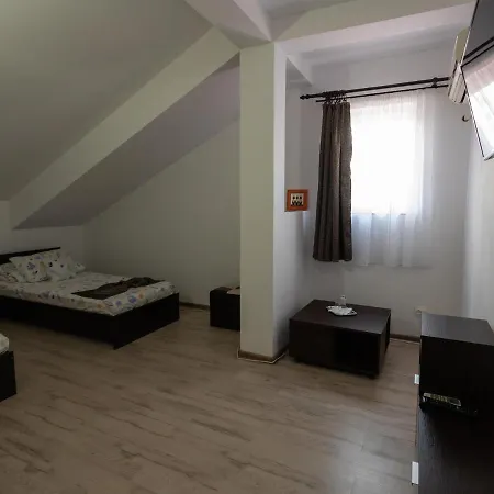 فيلة Iorga's House