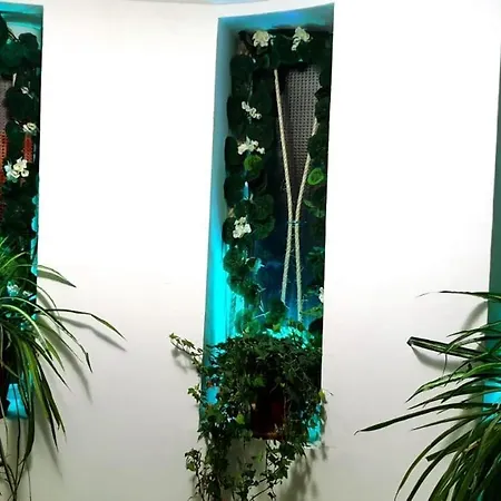 Iorga's House * Ефоріє-Норд